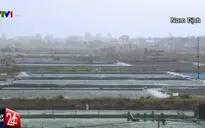 90% diện tích nông nghiệp tại Nam Định có nguy cơ mất trắng