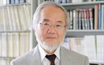 Nhà khoa học người Nhật Bản đoạt giải Nobel Y học năm 2016