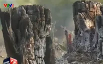 Báo động đỏ nạn chặt phá rừng ở Đăk Lăk