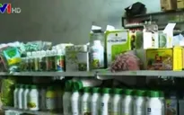 Triển khai chương trình Phân bón giả tác hại thật