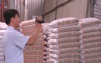 TP.HCM: Cuộc kiểm tra kỳ lạ ở các cơ sở sản xuất phân bón giả
