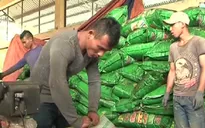 Bắt cơ sở sản xuất hàng chục tấn phân bón giả tại Lâm Đồng