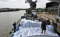 Doanh nghiệp phân bón xin nộp thuế VAT đầu ra