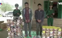 Bắt giữ vụ vận chuyển 221 kg pháo lậu tại Quảng Bình
