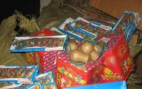 Thu giữ gần 300 kg pháo lậu ở Lạng Sơn