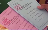 Nhiều địa phương bầu cử sớm