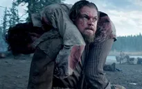"The Revenant" dự báo thắng lớn tại Oscar 2016