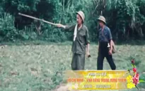 VTV phát sóng chùm PTL đặc sắc mừng Tết Nguyên đán Bính Thân