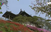 Tham quan phim trường lớn nhất Hàn Quốc
