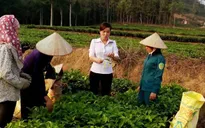 Đề án 600 Phó Chủ tịch xã trẻ: Hoài bão và thực tiễn