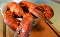 Những món hải sản chỉ dành cho giới nhà giàu