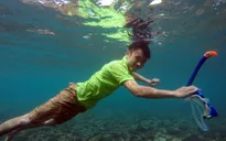 Chuyện những bạn trẻ 9x bỏ đất liền ra đảo... nuôi rùa