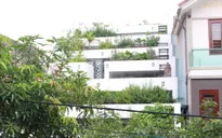 Ngôi nhà "ruộng bậc thang" ở Hà Tĩnh lên báo Mỹ