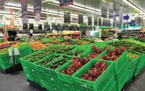 Lần đầu tiên hé lộ bức tranh nhà đầu tư nước ngoài góp vốn, mua cổ phần doanh nghiệp Việt