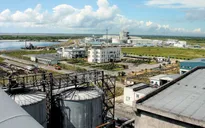 Hai dự án FDI quy mô lớn nhắm vào Hải Phòng