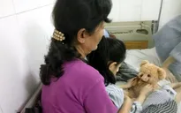 Quảng Ninh: Học sinh lớp 4 bị bạn phi bút trúng mắt