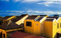 Tại sao nhà cổ Hội An ánh một sắc vàng?