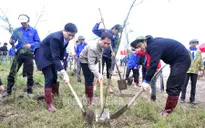 Quảng Trị và TT-Huế hưởng ứng Tết trồng cây
