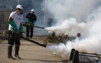 Brazil quyết tâm ngăn chặn virus Zika