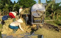 Đi tìm phương án phát triển thương hiệu gạo Việt Nam (17h30, 14/10, VTV1)