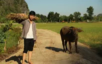 Tô Tuấn Dũng và những kỉ niệm khó quên khi đóng Hợp đồng hôn nhân
