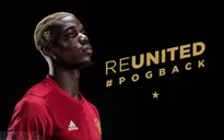 Pogba bị huyền thoại Man Utd "dằn mặt": Hãy xứng với giá tiền!