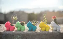 Đưa Pokémon vào không gian xanh trong nhà