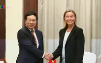Phó Thủ tướng Phạm Bình Minh tiếp lãnh đạo và Bộ trưởng các nước EU