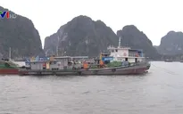 Quảng Ninh bắn pháo hiệu gọi tàu thuyền tránh bão số 7