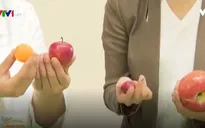 Nông sản cỡ nhỏ được ưa chuộng ở Hàn Quốc