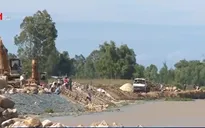 Quảng Ngãi chủ động ứng phó với mưa bão