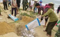 Thủ tướng ban hành định mức bồi thường thiệt hại do sự cố môi trường biển