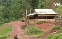 Quảng Bình: Người dân vùng biên gặp khó mở rộng đất sản xuất