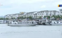 Quảng Ninh, Hải Phòng và Thái Bình chuẩn bị ứng phó bão số 1