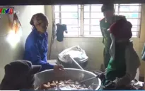 Nhúng vịt vào nồi nước hóa chất màu đen, tẩy lông chớp nhoáng