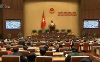 Đề cử bà Đặng Thị Ngọc Thịnh làm Phó Chủ tịch nước