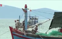 Ngư dân thoát chết trong bão Chanchu vẫn kiên cường bám biển