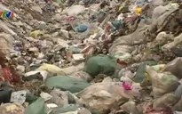 Người dân Hà Nội, Vĩnh Phúc "kêu trời" vì... rác