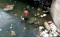 Bình Thuận: Sông Cà Ty trước nguy cơ biến thành “sông rác”