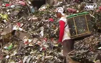 Hàng triệu tấn rác thải ra môi trường thế giới mỗi ngày