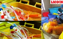 Bệnh viện Bạch Mai khẳng định không để lọt rác thải y tế ra môi trường