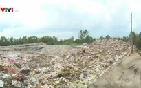 Sở TNMT Đồng Tháp phản hồi về bãi rác gây nên “mùa ruồi”