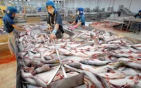 DN thủy sản Việt phấn khởi trước việc Mỹ bác bỏ giám sát cá da trơn