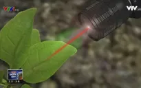 Công nghệ chế biến rau củ thành dụng cụ dò bom mìn