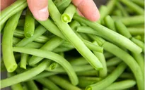Tăng cường sản xuất, kinh doanh, tiêu dùng rau an toàn