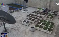 Những ý tưởng cho cuộc sống thời chiến ở Syria