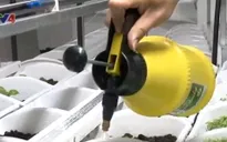 Nhiều món quà ý nghĩa đến các điểm đảo Trường Sa