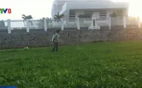 Thuốc bảo vệ thực vật sử dụng tràn lan trên các ruộng rau