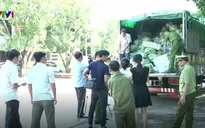 Nghệ An: 8 tấn rau củ nhập lậu bị phát hiện được vận chuyển chui