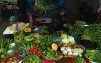 Khan hiếm rau quả do mưa lũ kéo dài